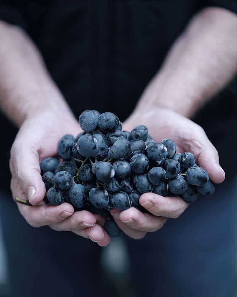 nutrition sportive Paris